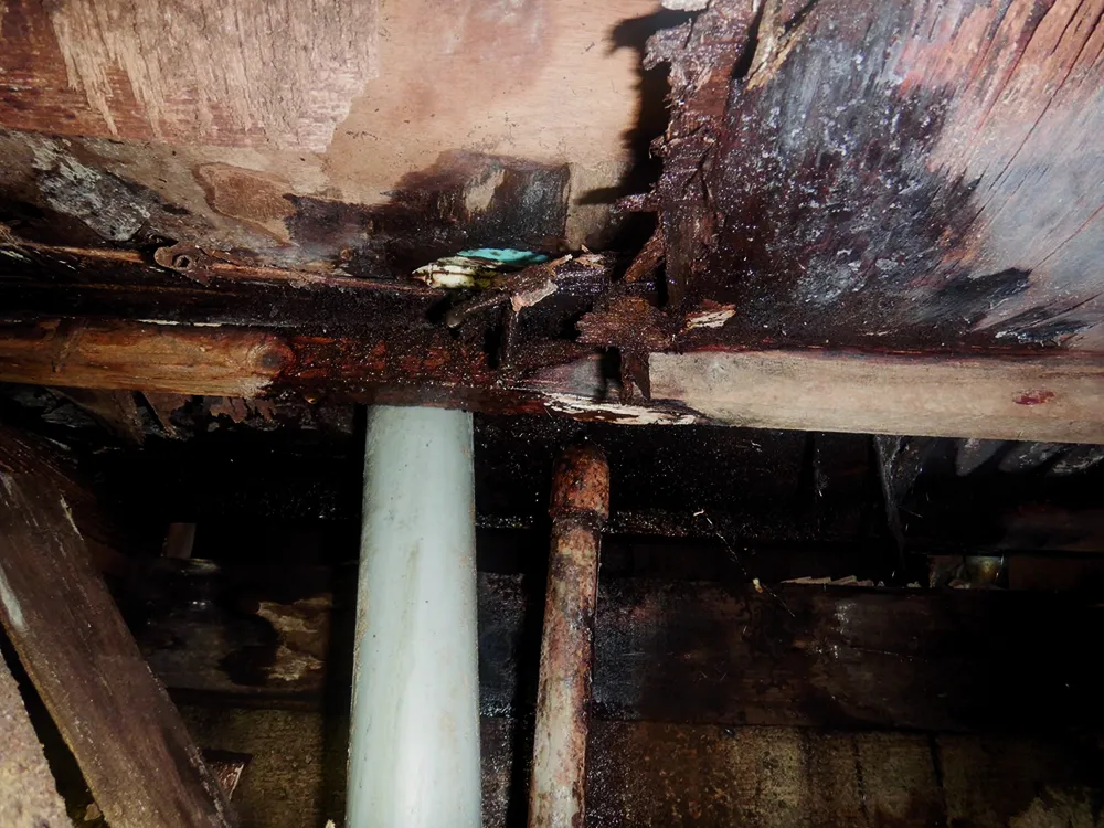 木部の腐食 湿気トラブル・老朽化