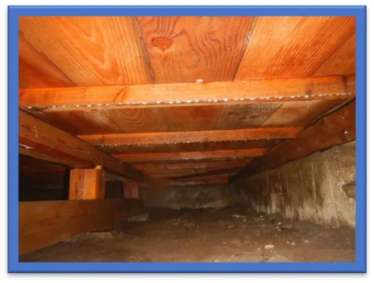 床下木部へのシロアリ防除処理 施工後