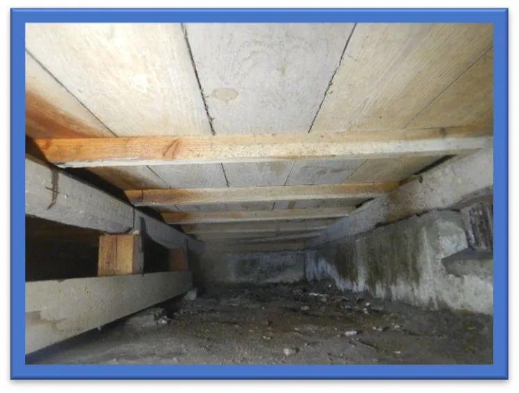 床下木部へのシロアリ防除処理 施工前