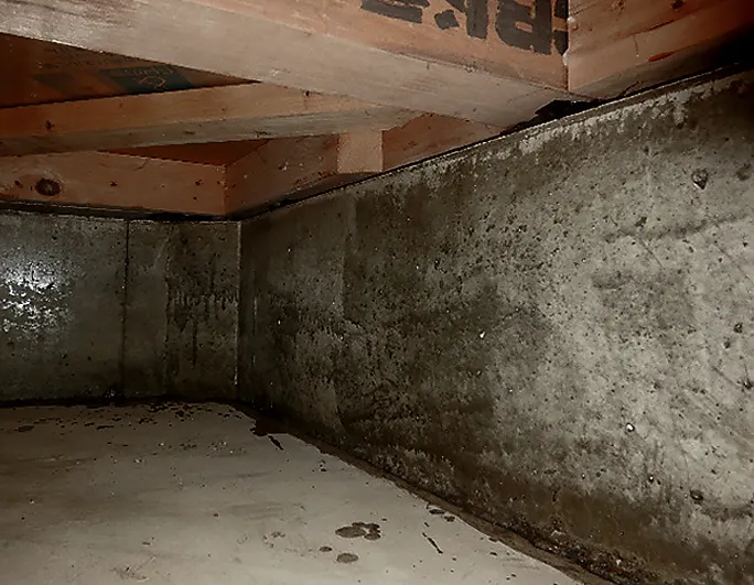 ソリッドリメイン 床下基礎コンクリート施工前（ケース２）