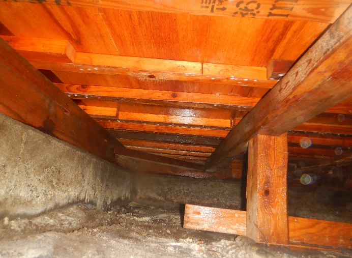 床下木部を消毒し、シロアリや腐朽菌を防止