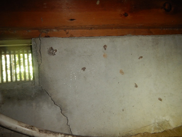 キッチン下基礎クラックのソリッドリメイン補修